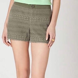 Anthro Shorts